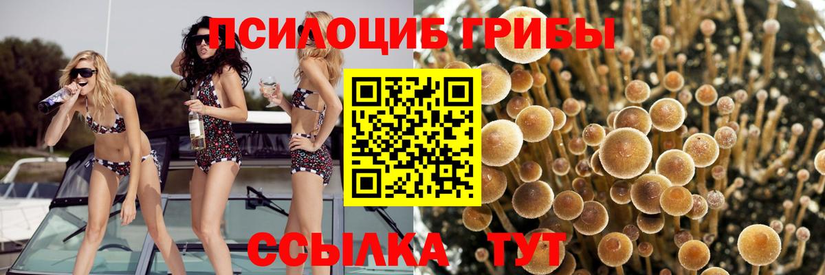 Галлюциногенные грибы MAGIC MUSHROOMS Новосибирск