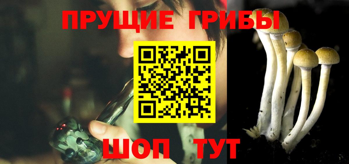 Псилоцибиновые грибы MAGIC MUSHROOMS  Псилоцибиновые грибы MAGIC MUSHROOMS  Вход с VPN  Новосибирск 